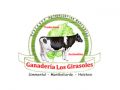 Ganadería Los Girasoles 